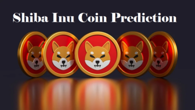 Shiba Inu Coin Prediction