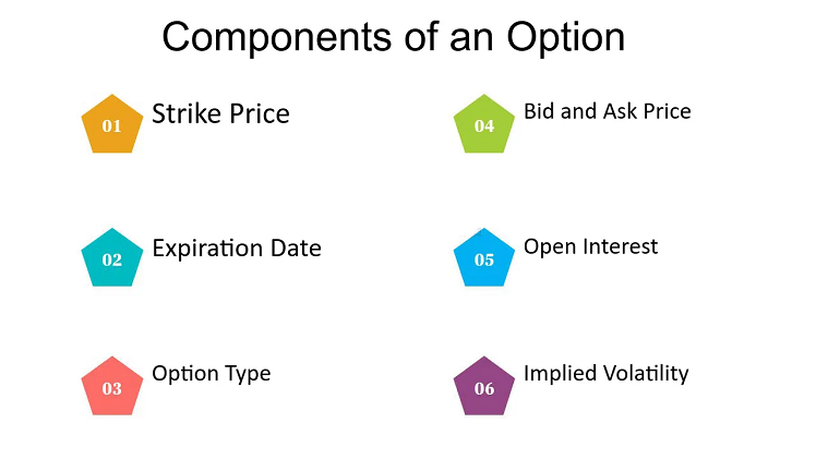 The Components of an Option